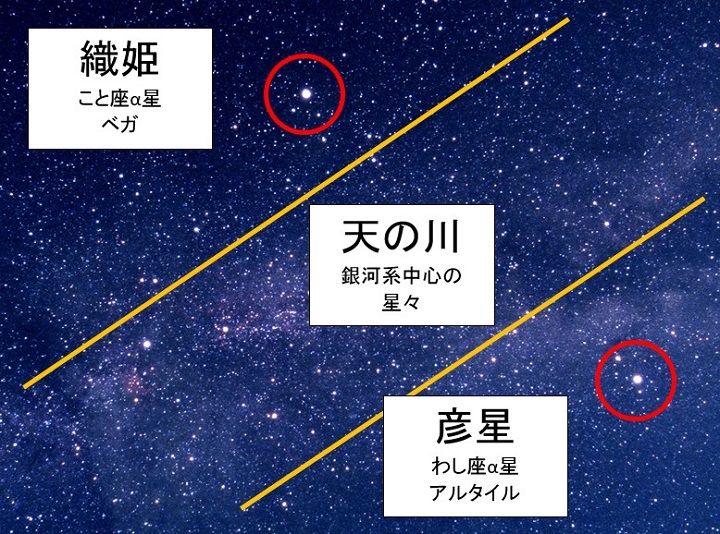 七夕の織姫 彦星の位置や距離とは 夏の大三角形も一緒に紹介 とはとは Net