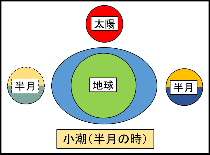 小潮(半月)